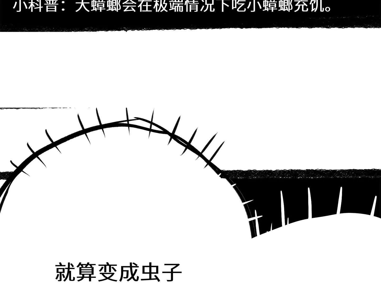 弱肉强食的世界165
