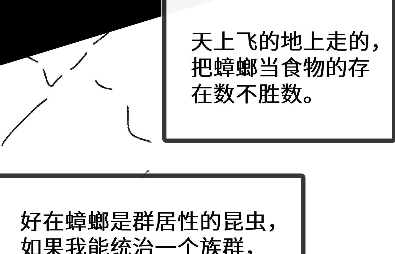 弱肉强食的世界64