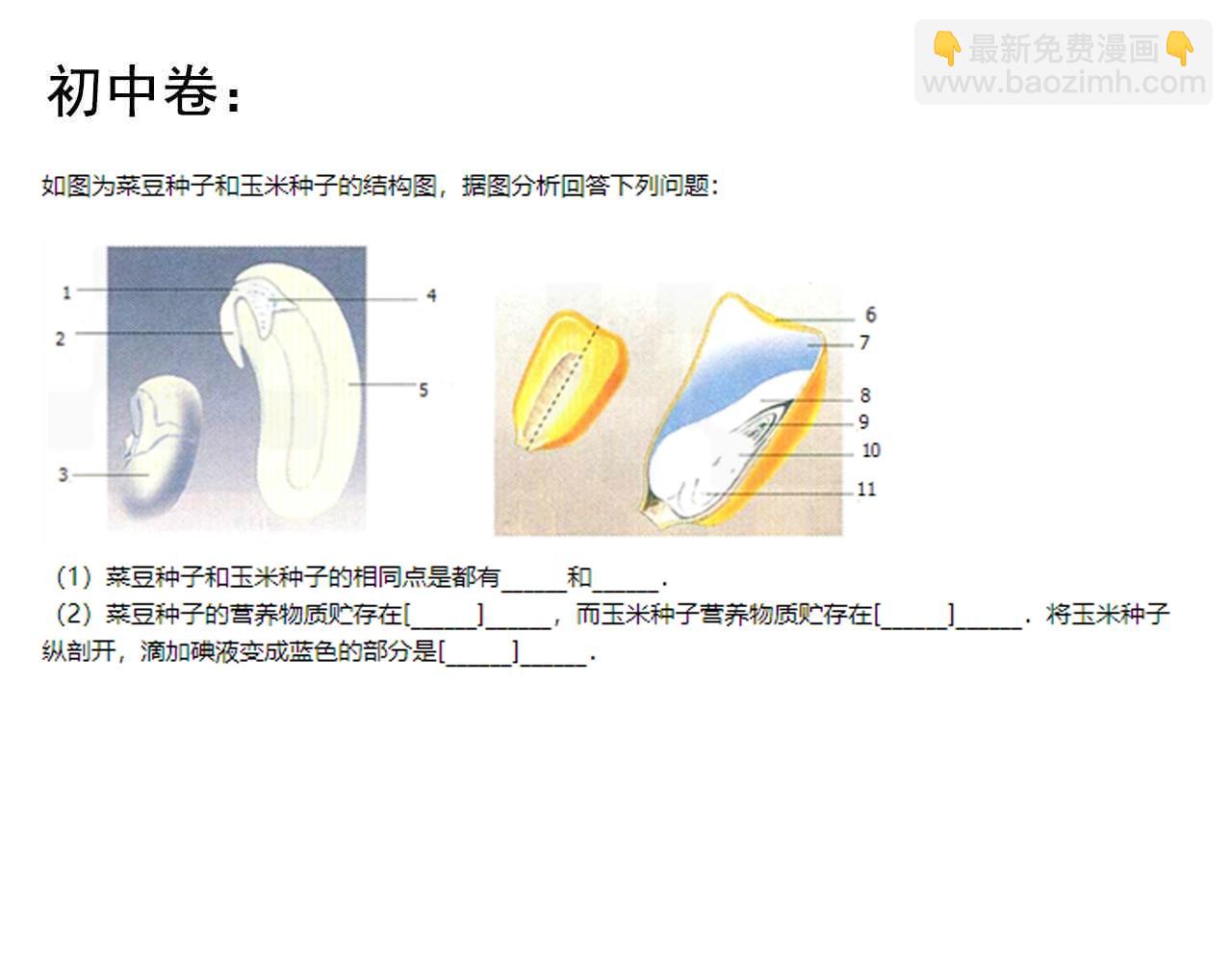 第119话 单杀！98