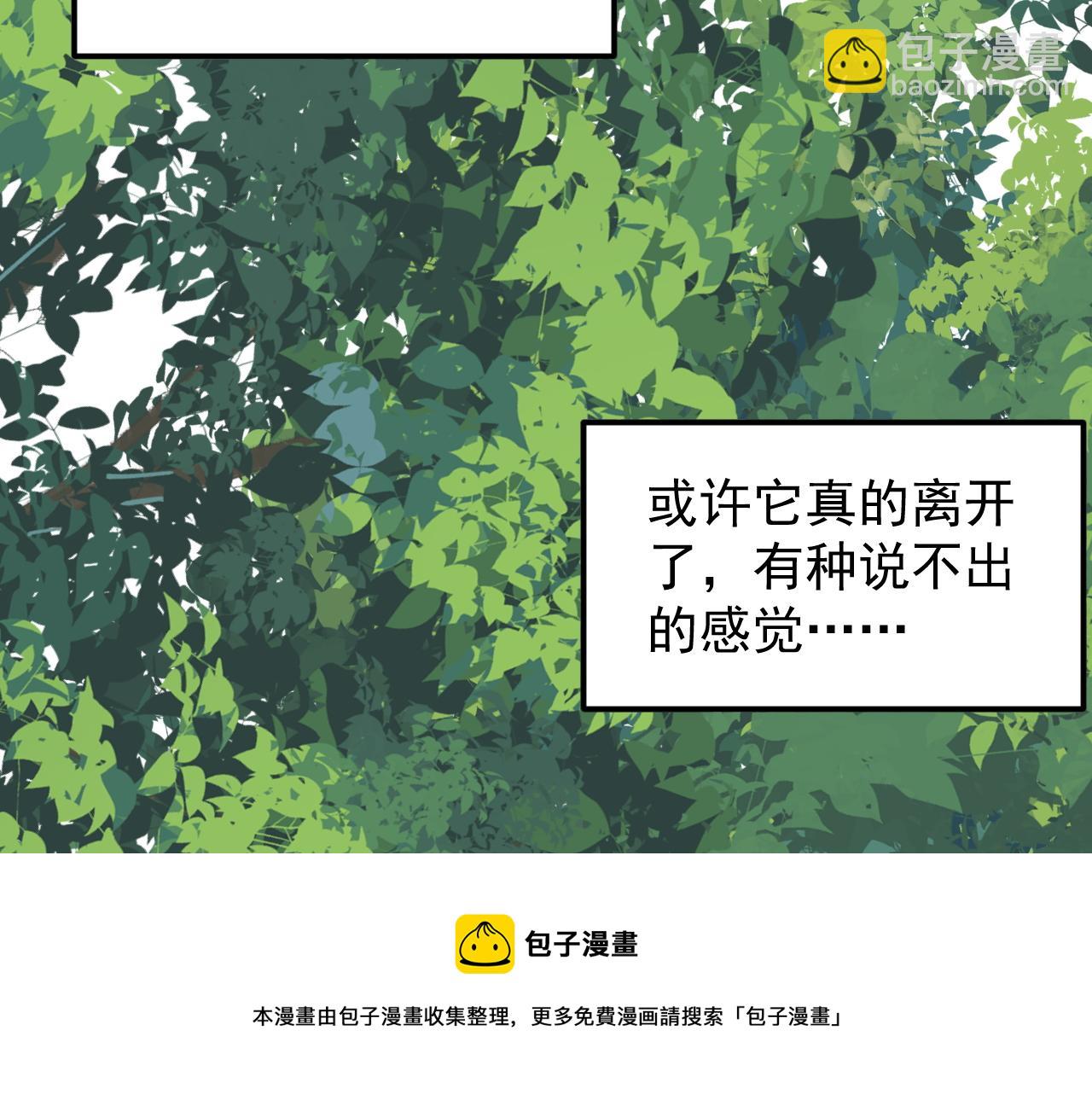 第164话 出国10