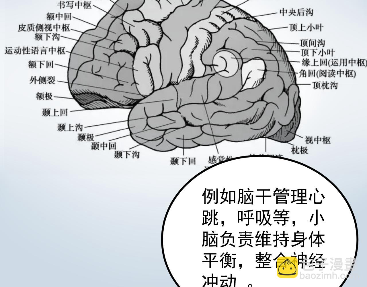 第192话 老鼠实验7