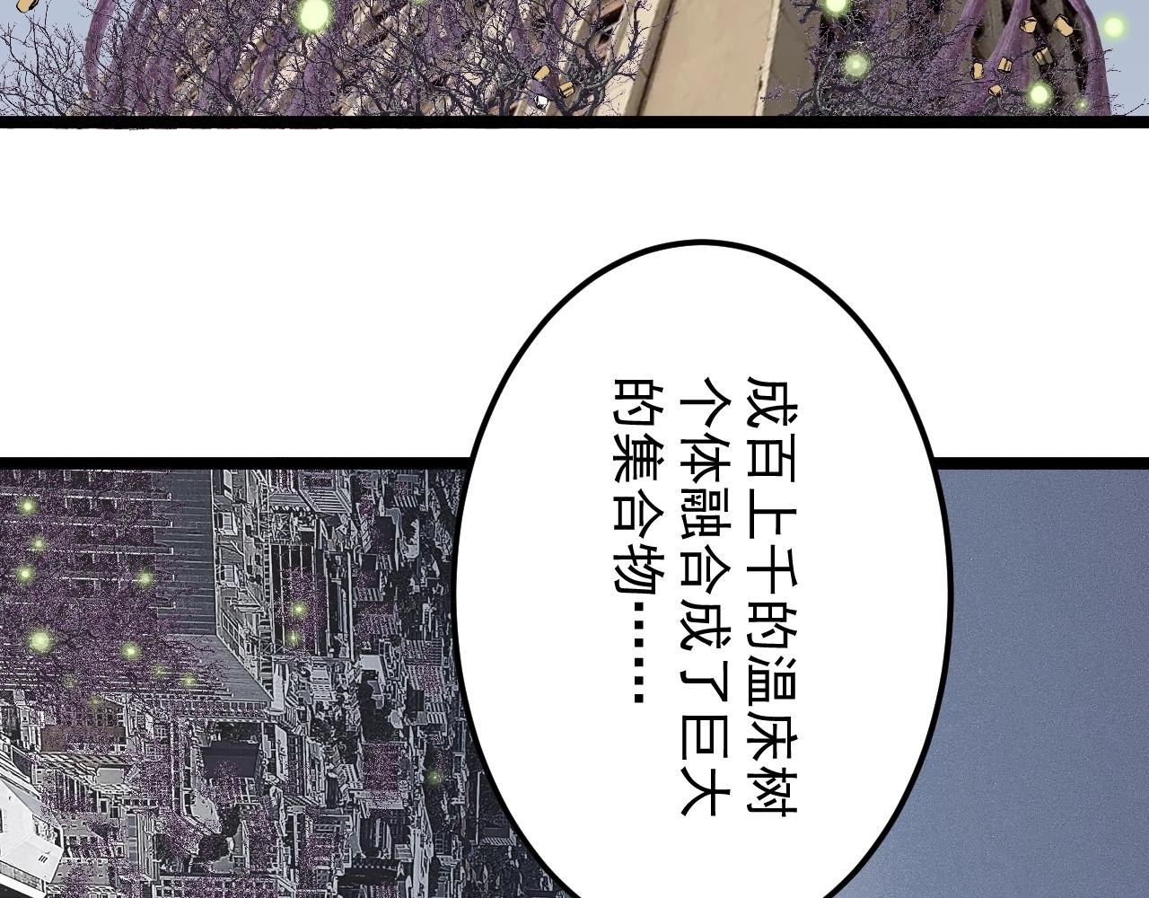 第218话 最后一次7