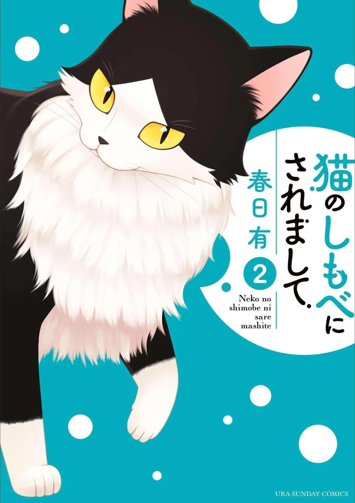 第08话0