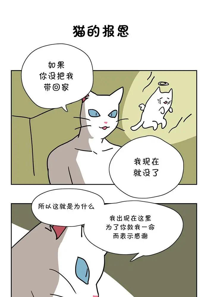 第01话9