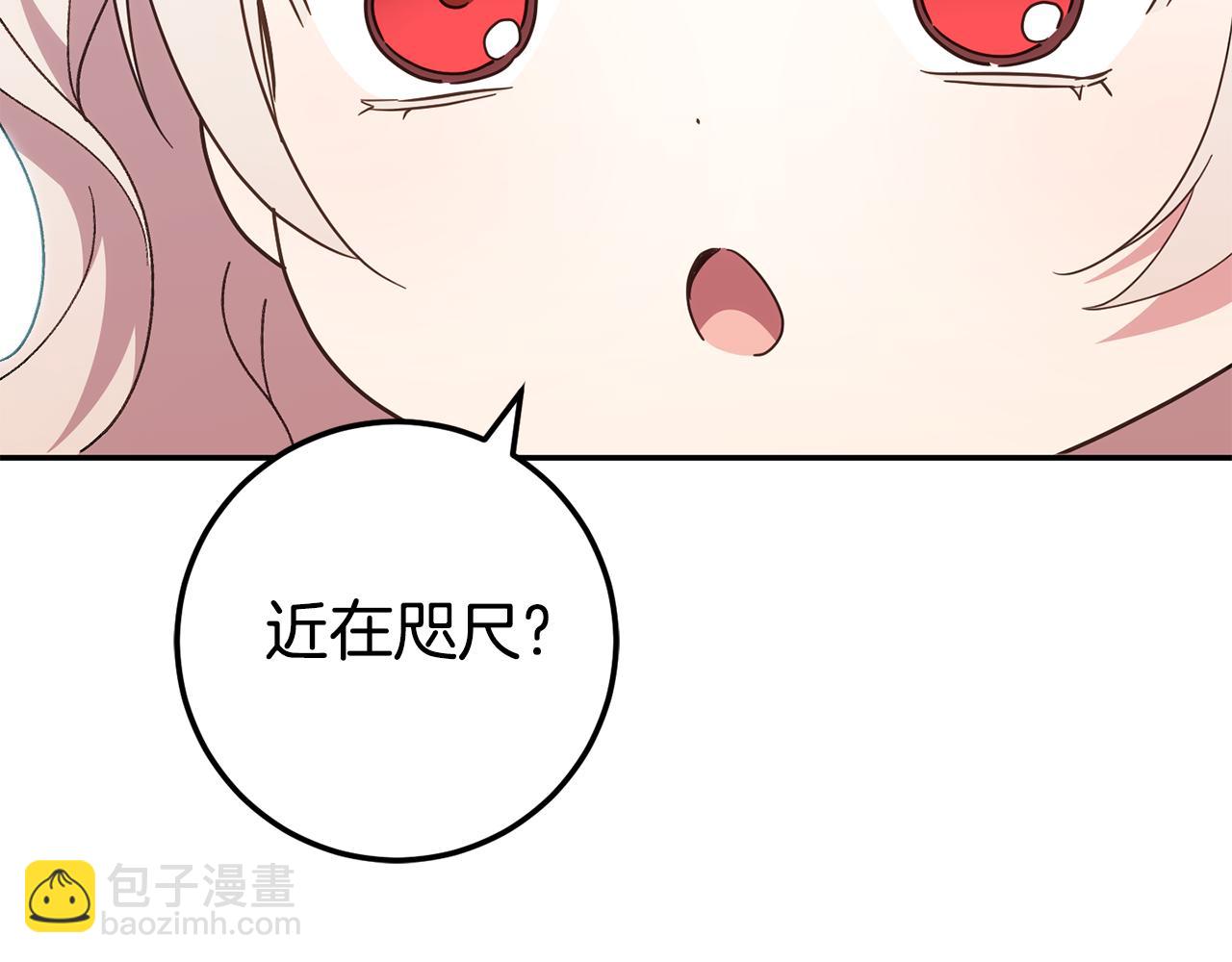 第116话 英雄事迹26