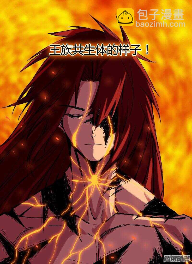 第170话 唤醒4