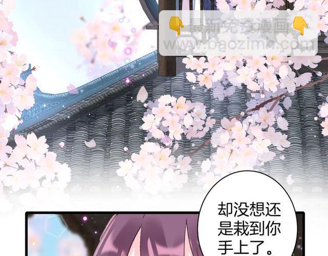 第二季完结篇 提亲前夕74