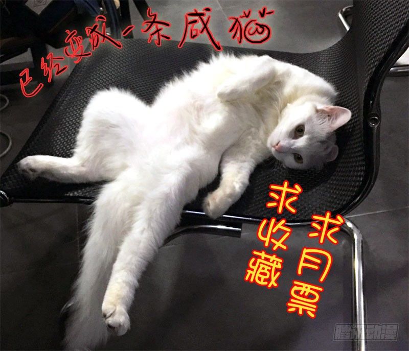 48第一位火伴（六）12
