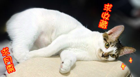 53奇怪的少年（上）12