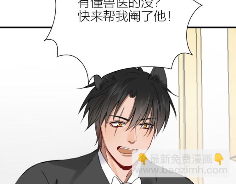 第190-191话 喵生滑铁卢49