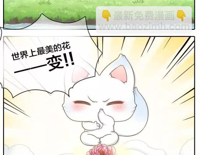 第38话 我要开始变身了6