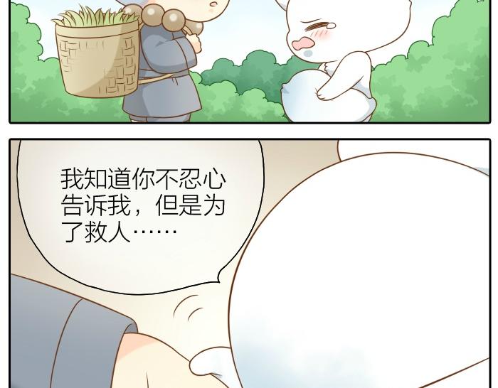 第51话 为了救人，尾巴你拿走吧！16