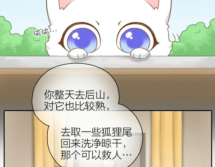 第51话 为了救人，尾巴你拿走吧！2