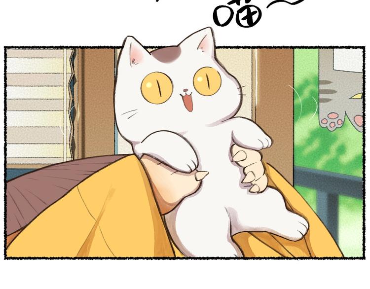 番外 猫容婆20