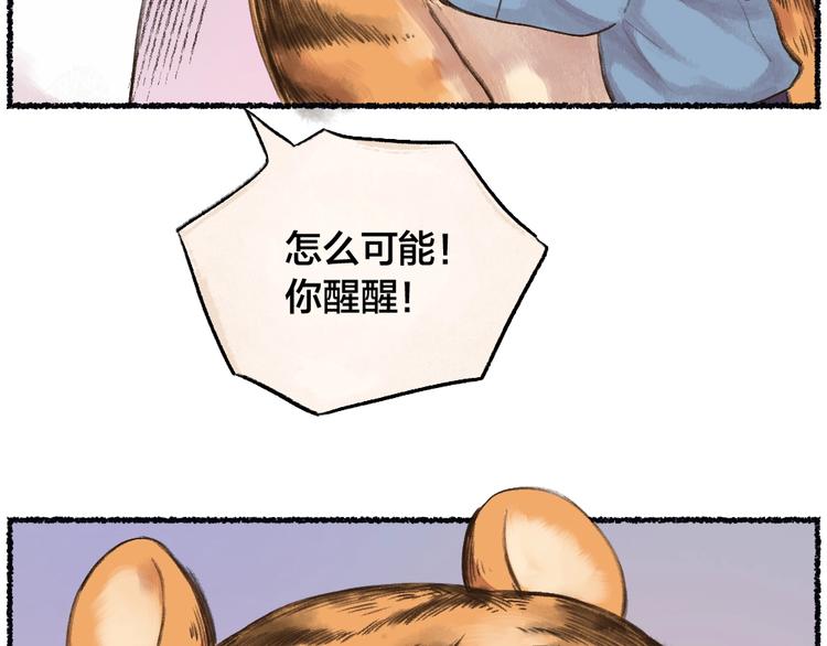 番外 猫容婆69