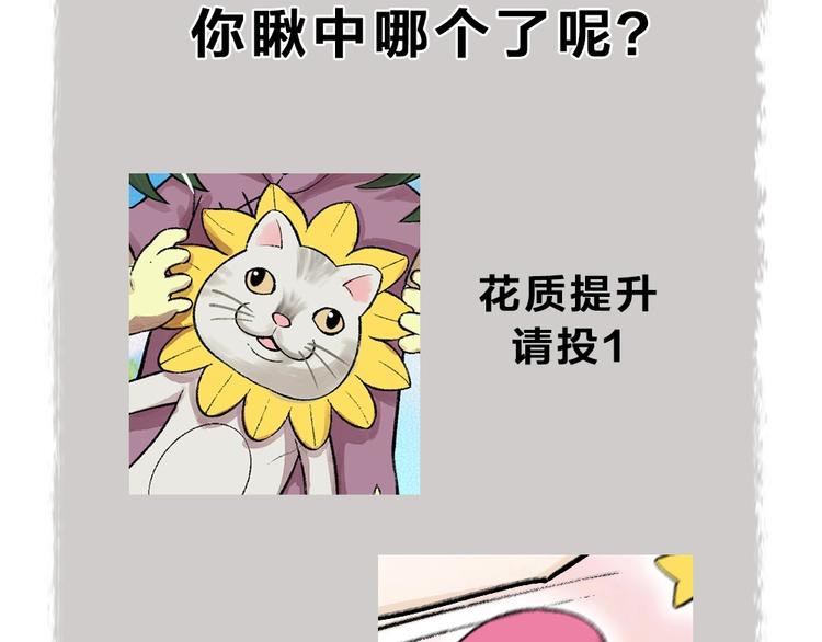 第58话 扭蛋机92