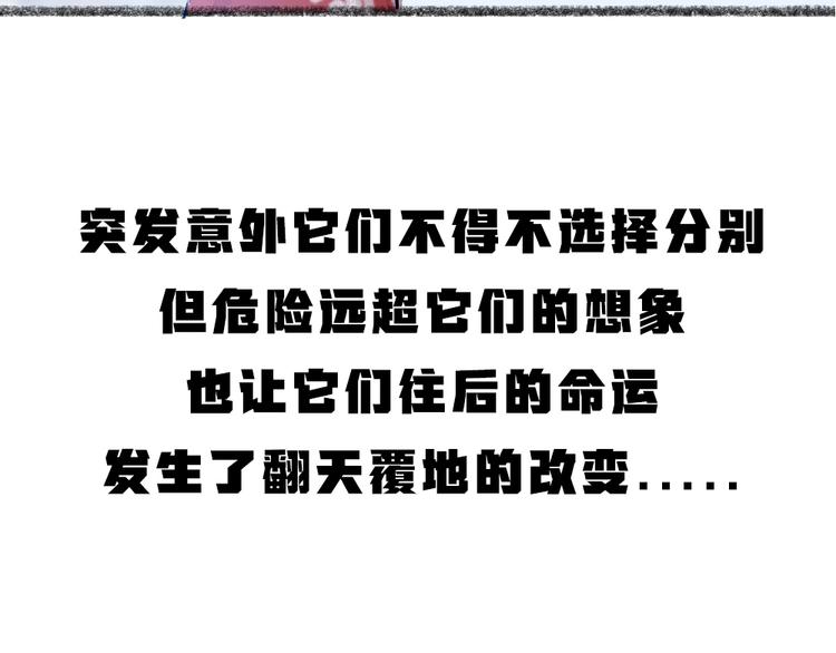 第78话 请你救救他104