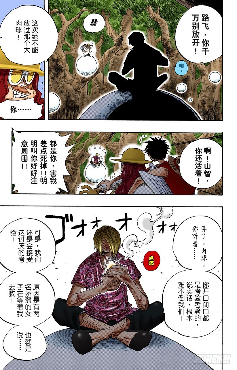 球龙14