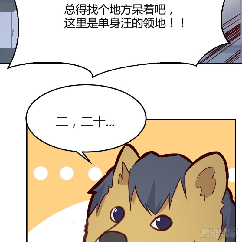 误入单身狗的地盘57