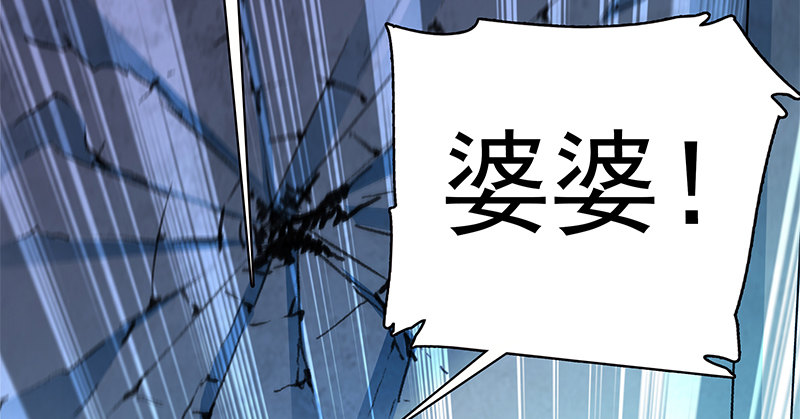 第三十话 临终托孤117