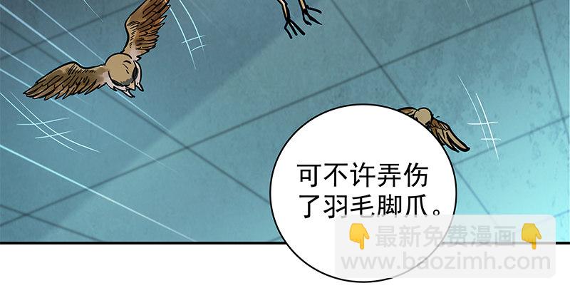 第三十七话 习武11
