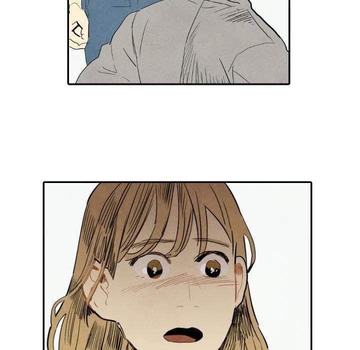 23155