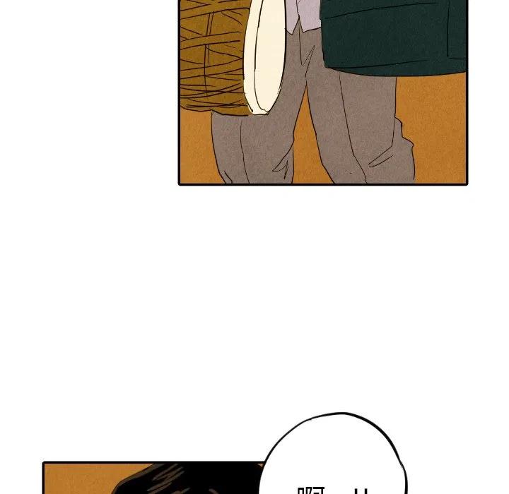 29113