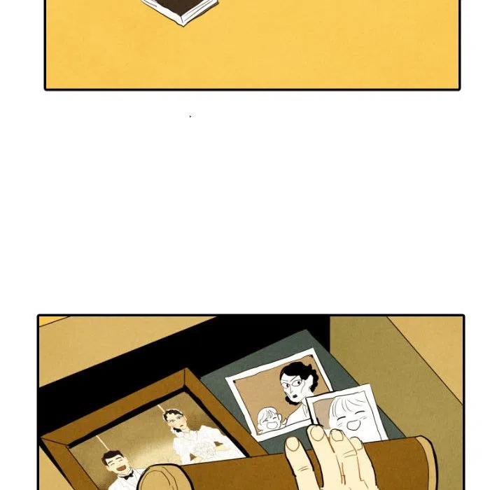 29118