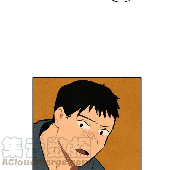 41116