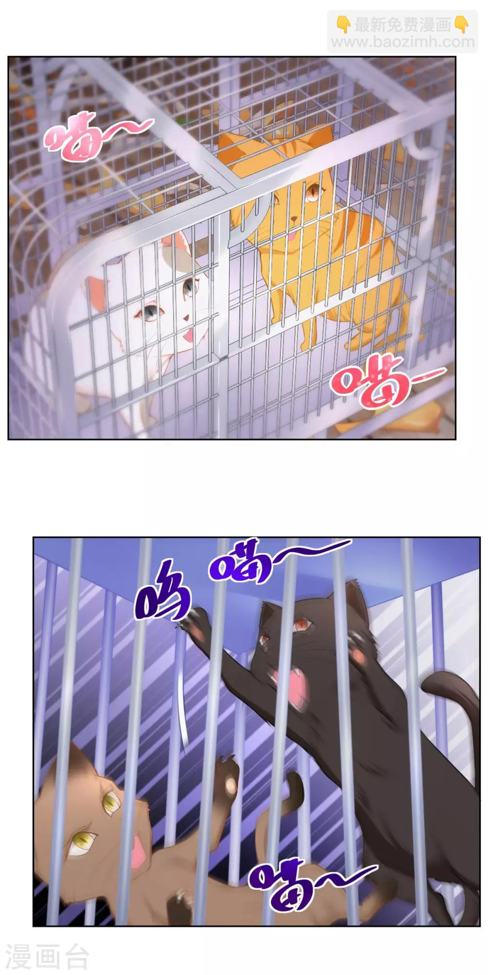 第3话 两只猫10