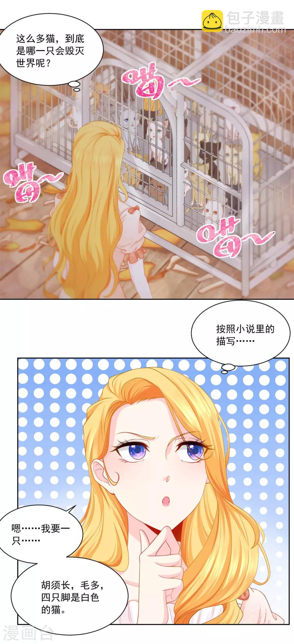 第3话 两只猫13