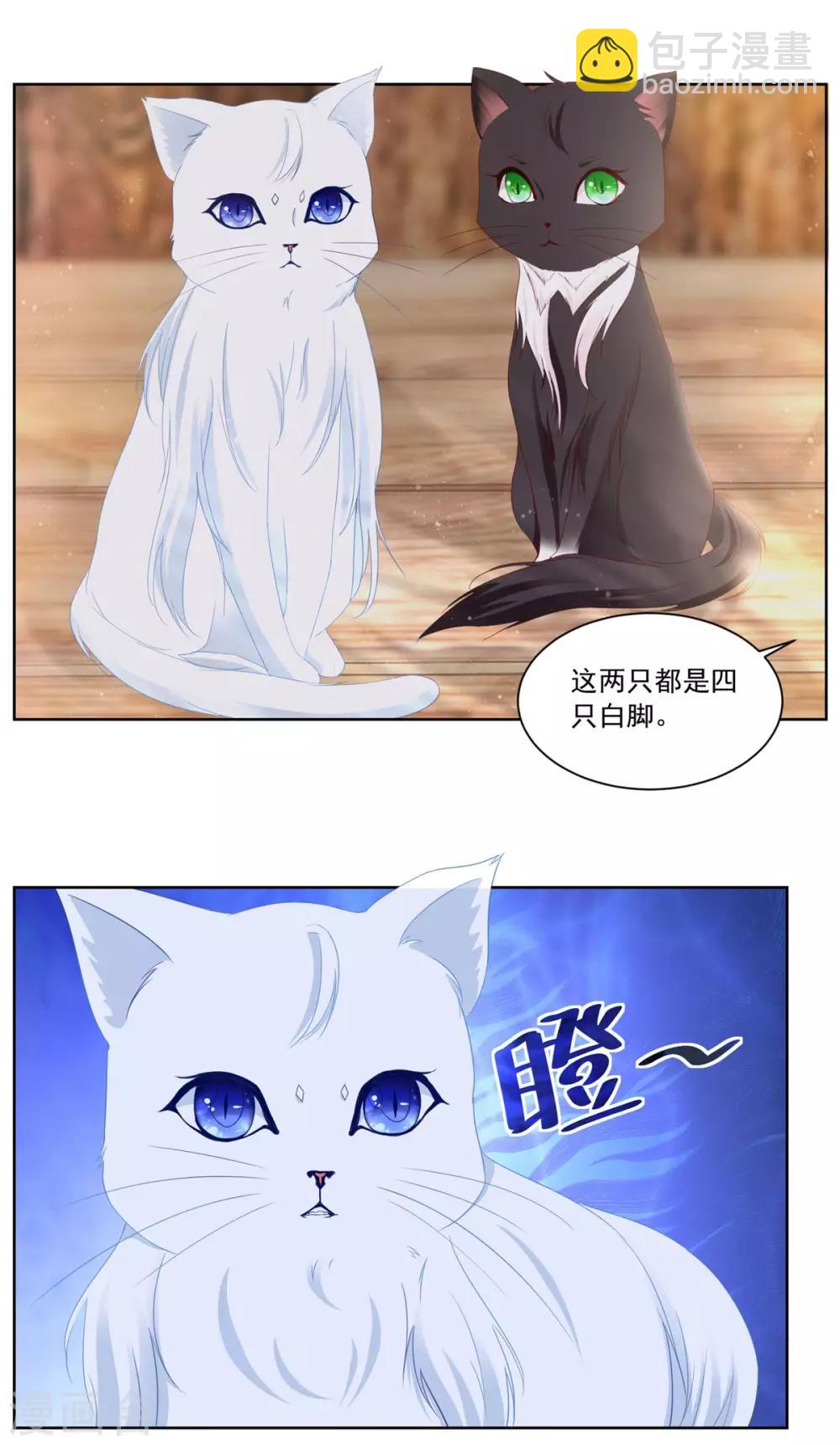 第3话 两只猫15