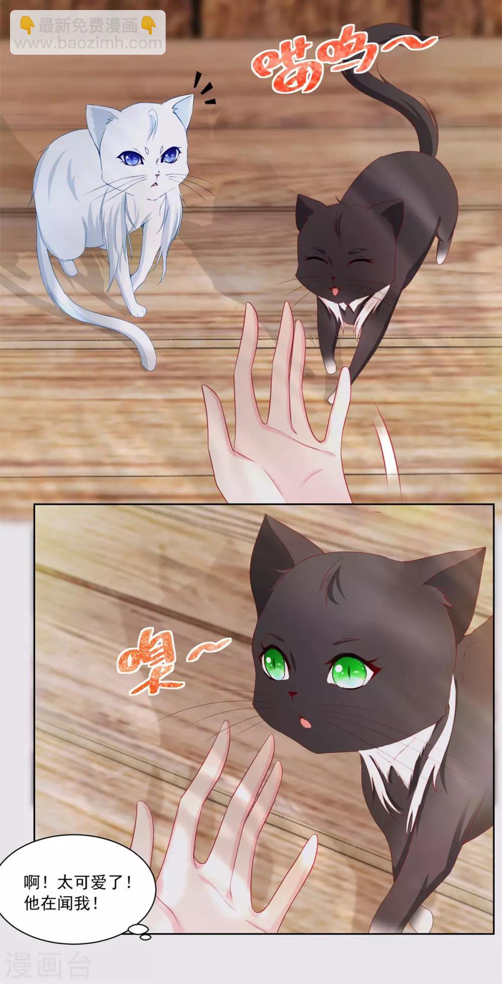 第3话 两只猫18