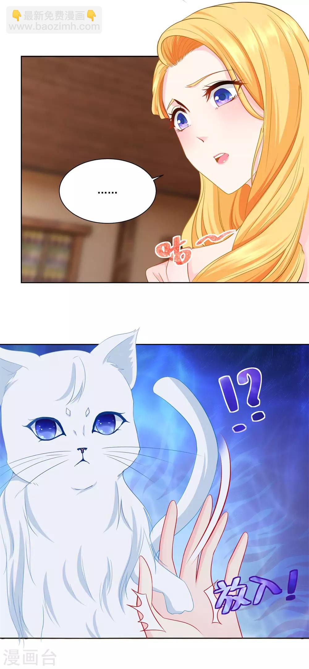 第3话 两只猫20