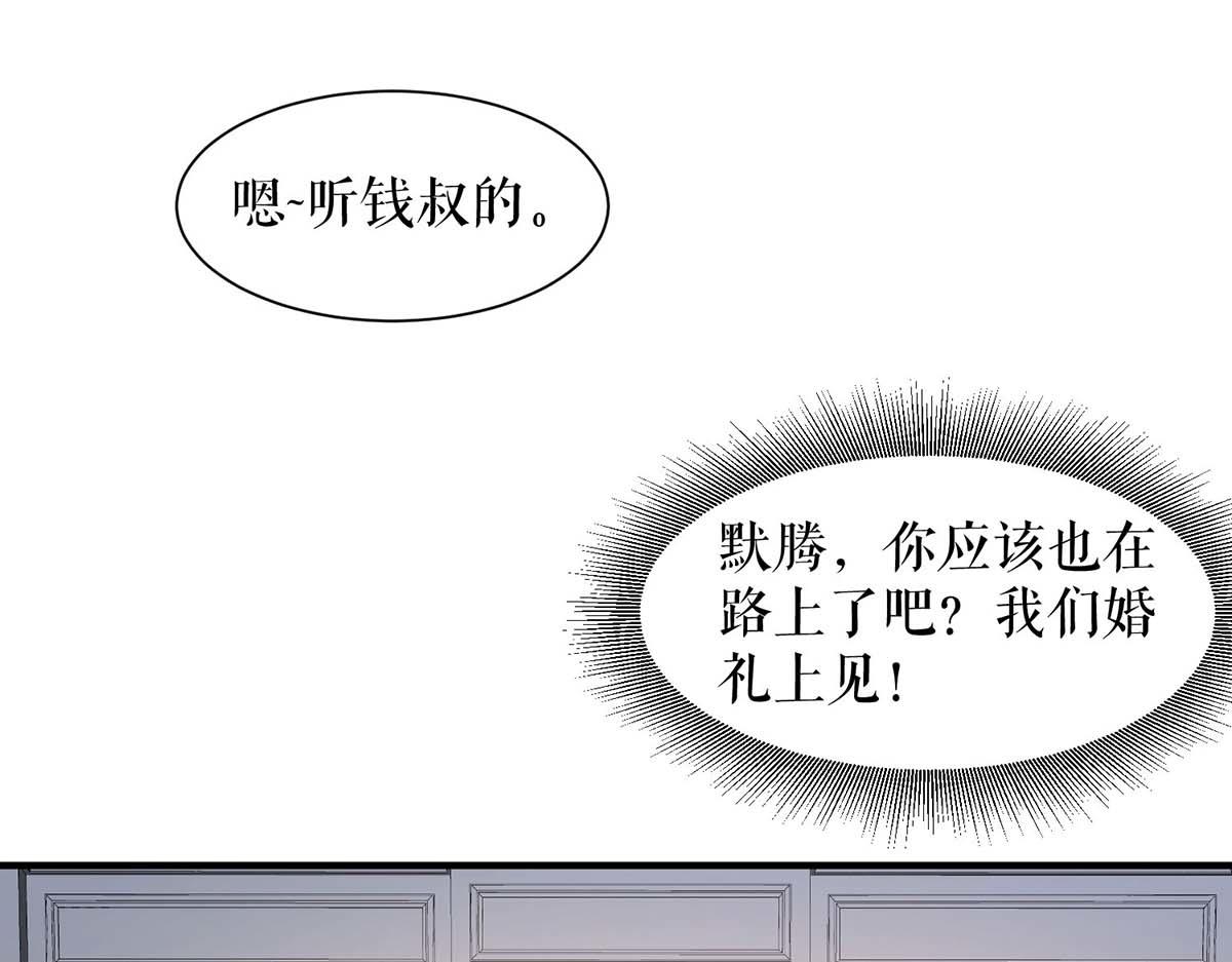 第190话 前往婚礼现场32