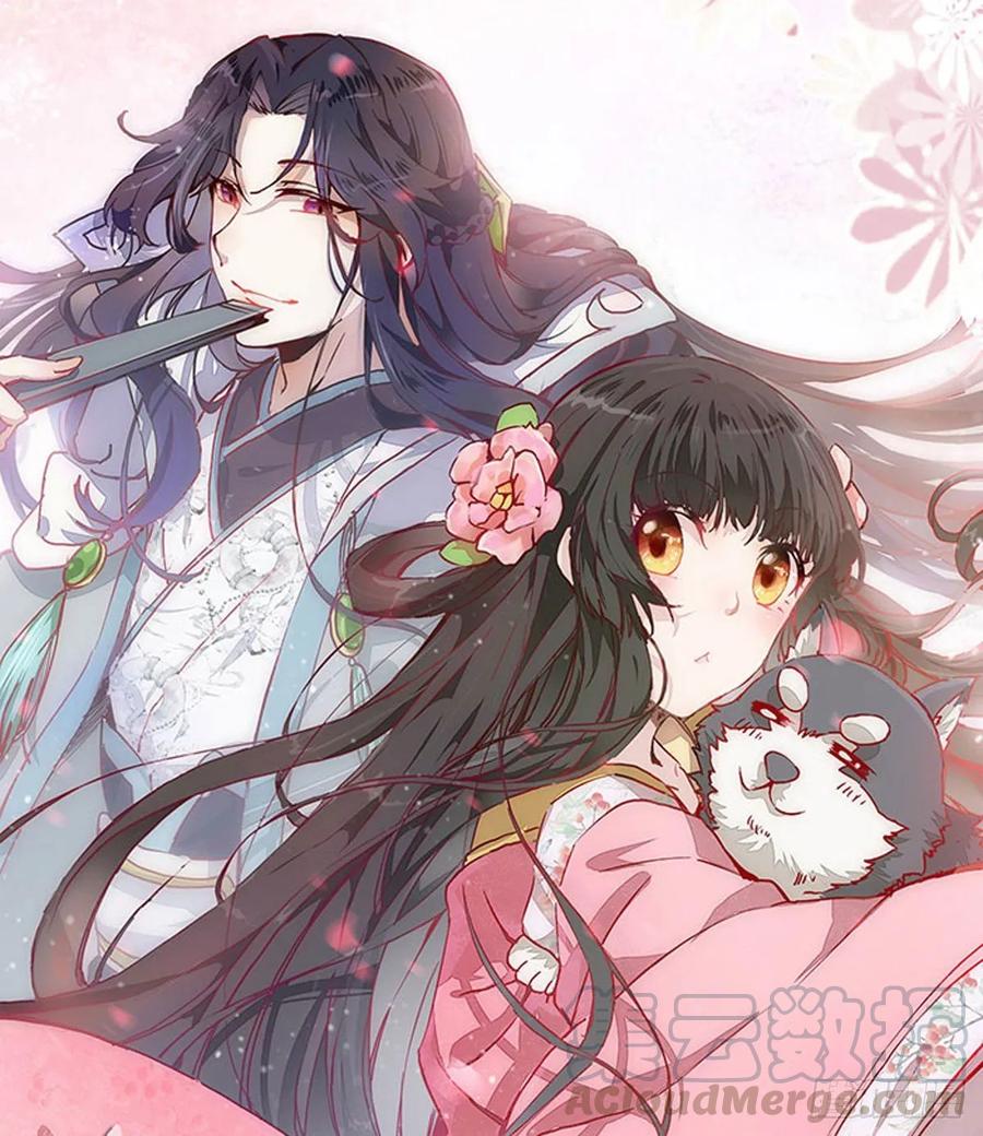 第85话 哥哥？妹妹？0