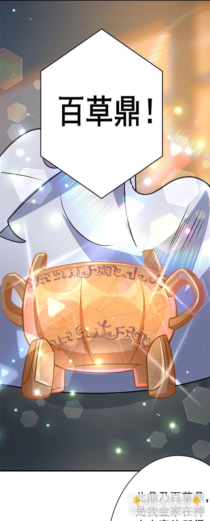 049 百草鼎10
