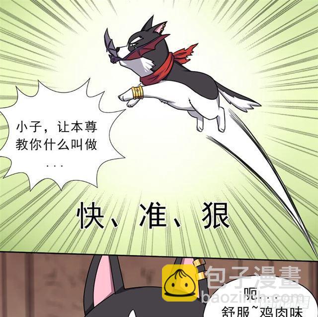 雏鹰组34