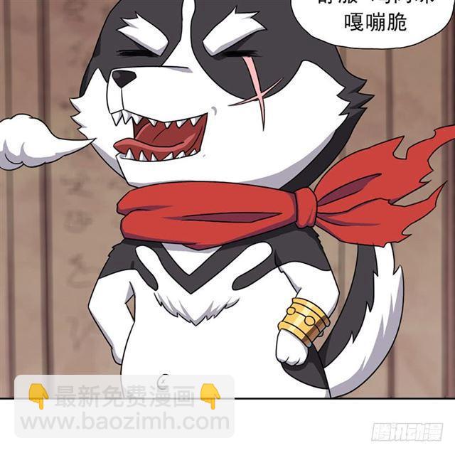 雏鹰组35