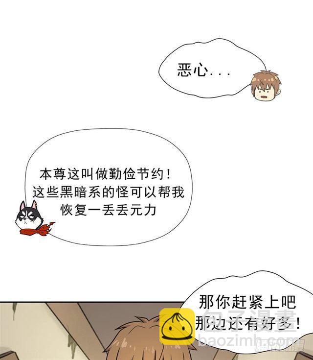 雏鹰组36