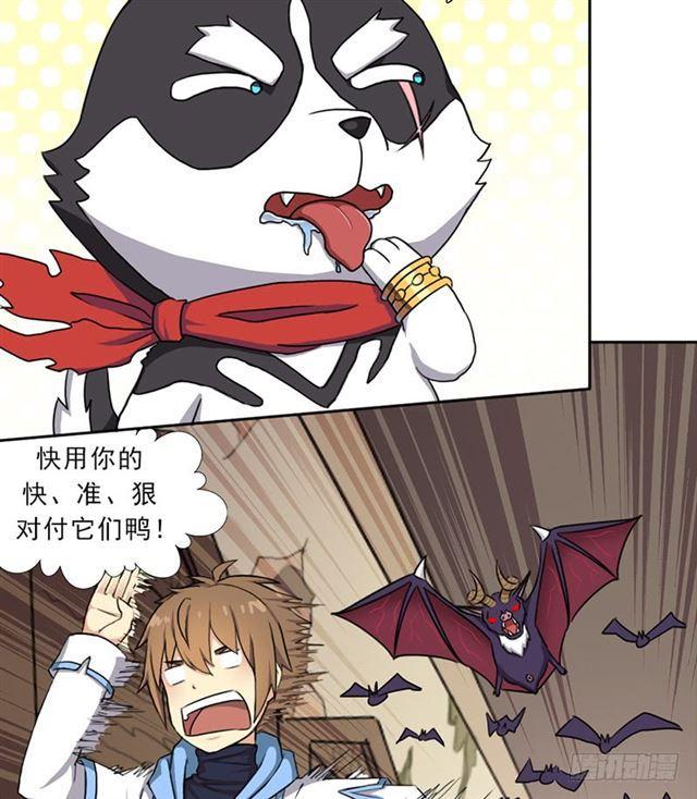 雏鹰组38