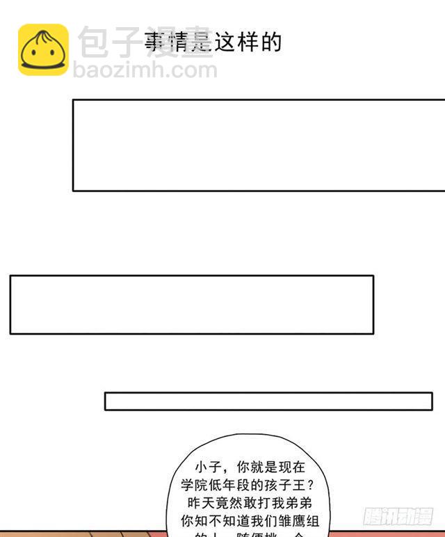 雏鹰组9