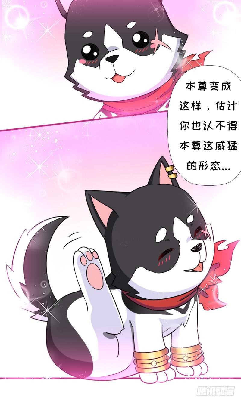 小黑的“遗蜕”10