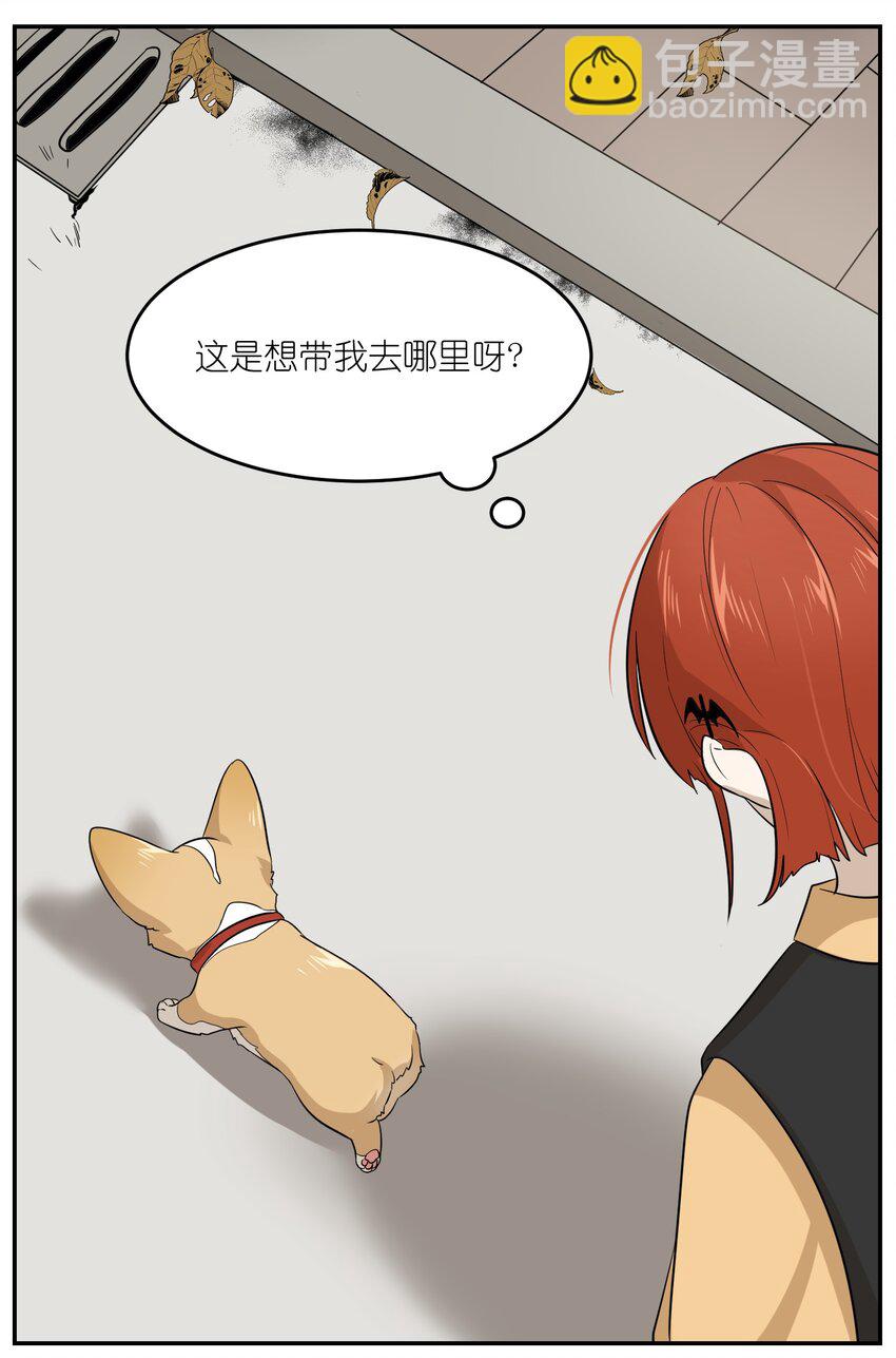 008 走散15