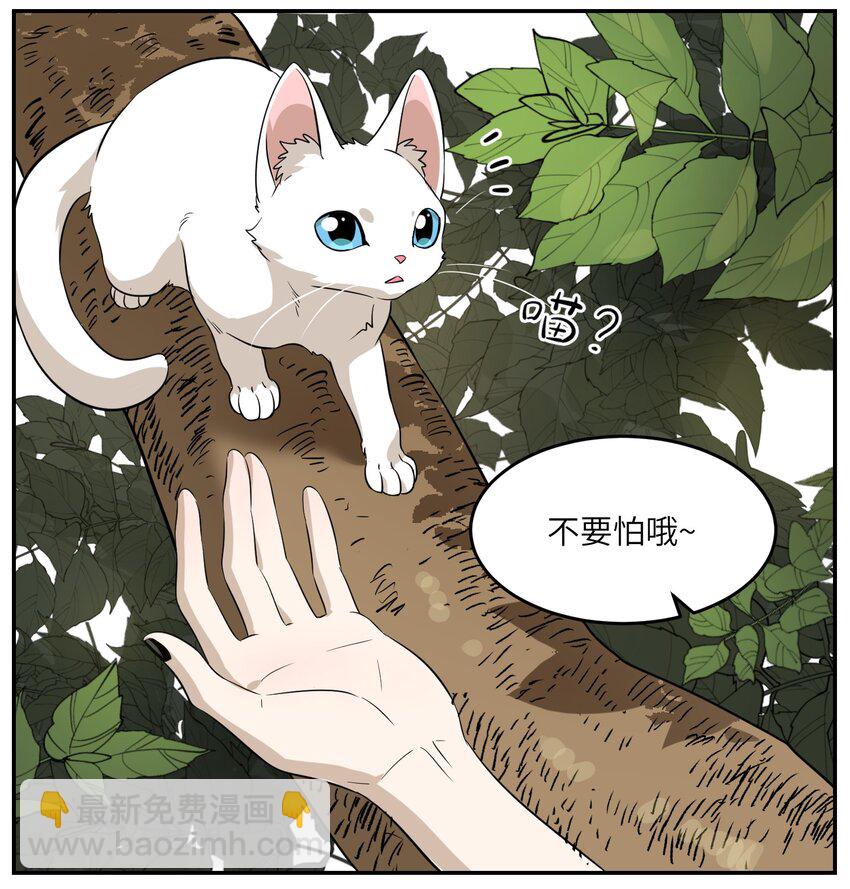 008 走散22