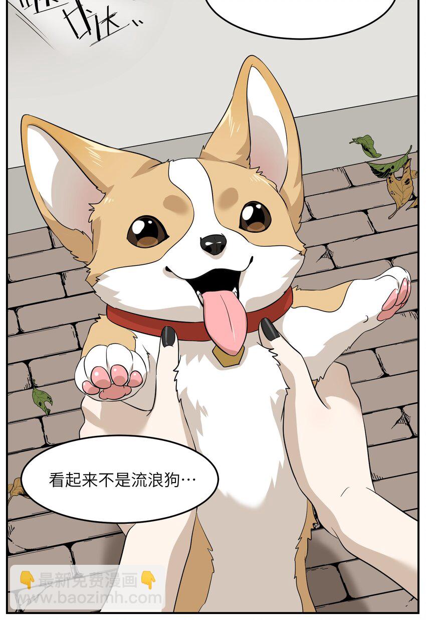 008 走散27