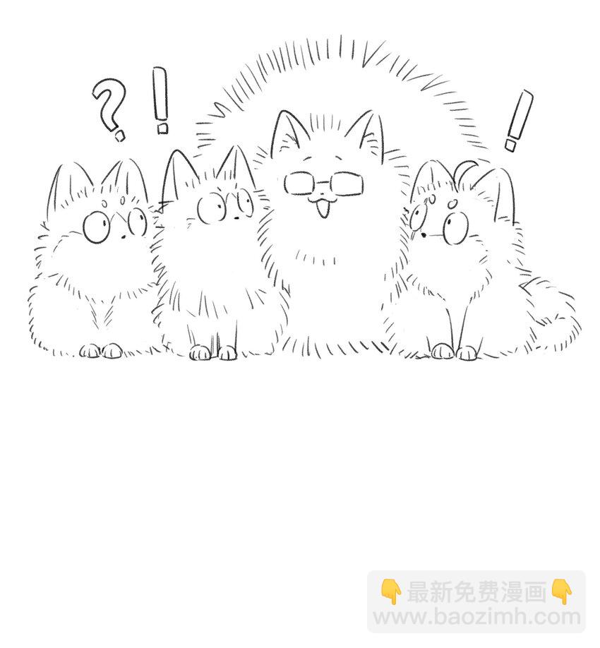 083 决心41