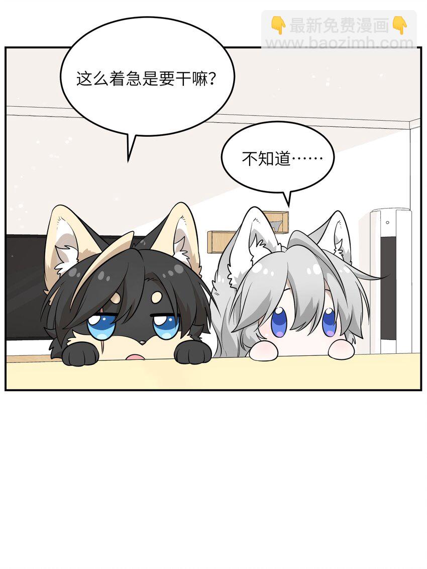 083 决心9