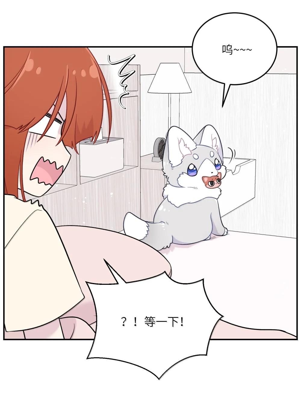 199 全新的体验（含抽奖）18