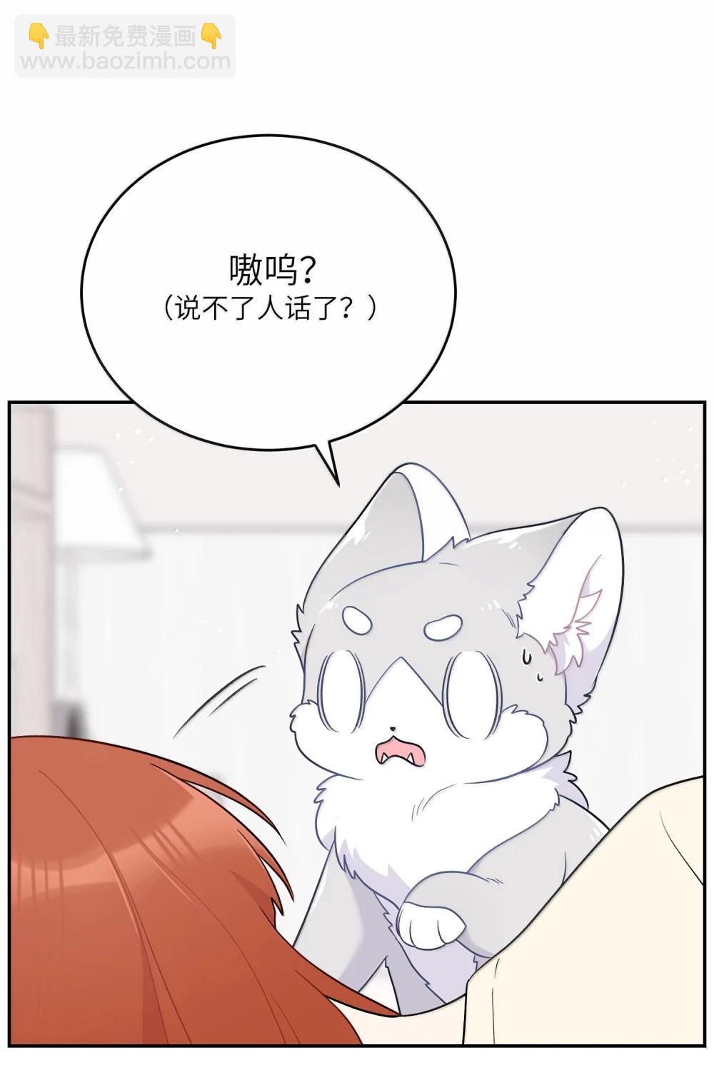 199 全新的体验（含抽奖）4